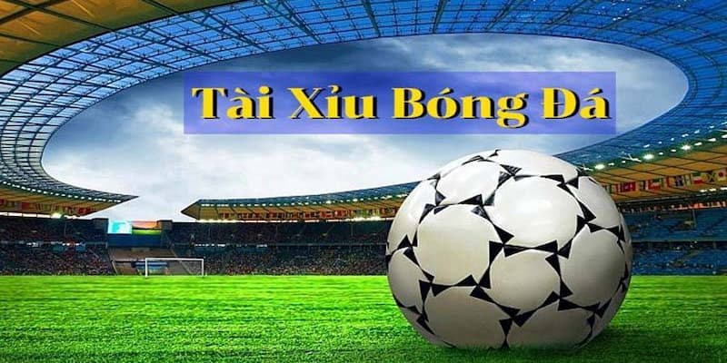 trực tiếp kèo nhà cái Các dạng cược phổ biến khi theo trực tiếp kèo nhà cái