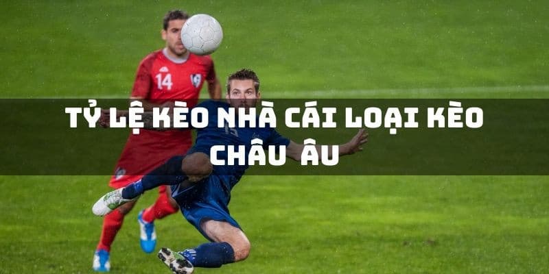 Cách chọn tỷ lệ kèo châu Âu đúng chuẩn