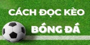 Cách đọc tỷ lệ kèo