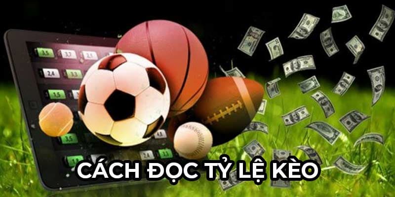 Cách đọc tỷ lệ kèo Các loại tỷ lệ phổ biến