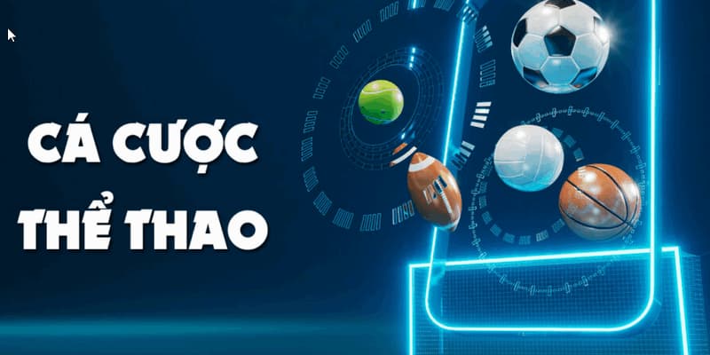 Phân loại tỷ lệ cá cược phổ biến trên thị trường