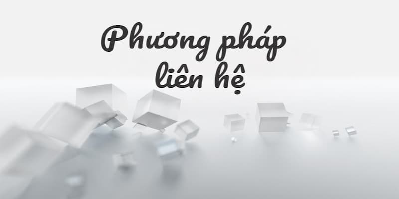 Quy trình Liên hệ Tỷ lệ cá cược