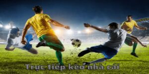 Vai trò chiến lược của trực tiếp kèo nhà cái