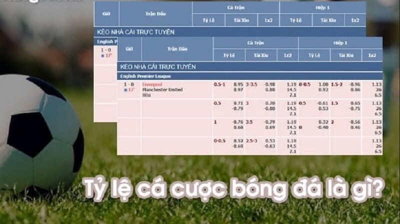 Tỷ lệ cá cược là gì và tại sao quan trọng