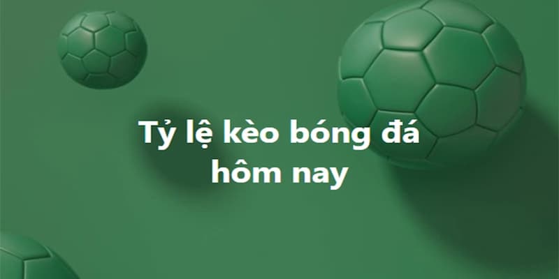 Giới thiệu ý nghĩa của Tỷ lệ kèo hôm nay