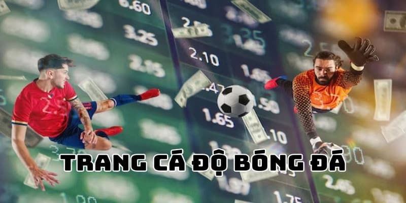 Vì sao người chơi cần nắm rõ phần Giới thiệu về tỷ lệ cá cược?
